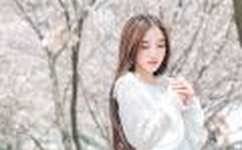 万格集团董事李亚菲图片